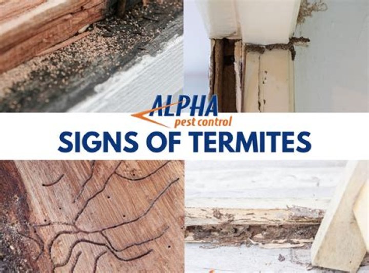 Are creaking floors a sign of termites?