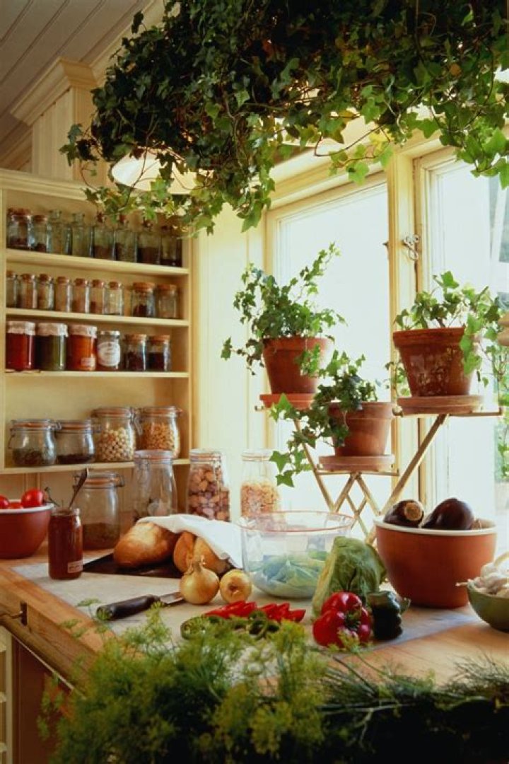 Are garden windows a good idea?