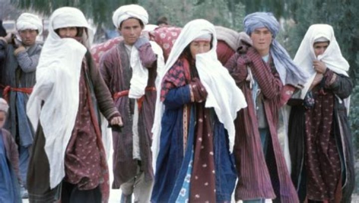 Are Hazara Mongols?