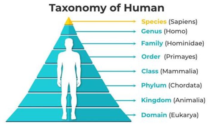 Are humans a Polytypic species?