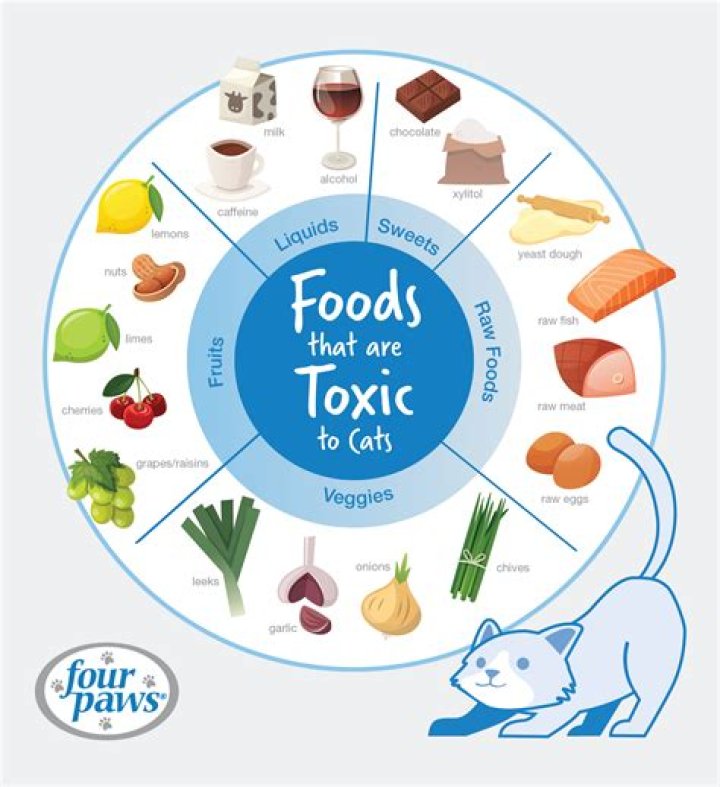 Are mice healthy for cats to eat?