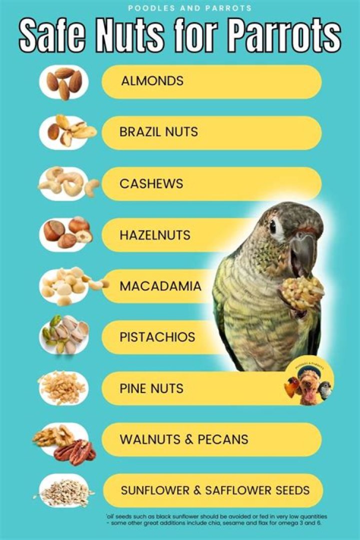 Are monkey nuts bad for parrots?