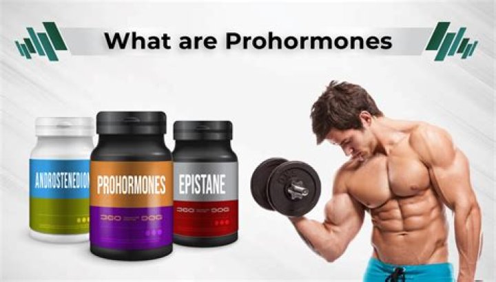 Are prohormones steroids?