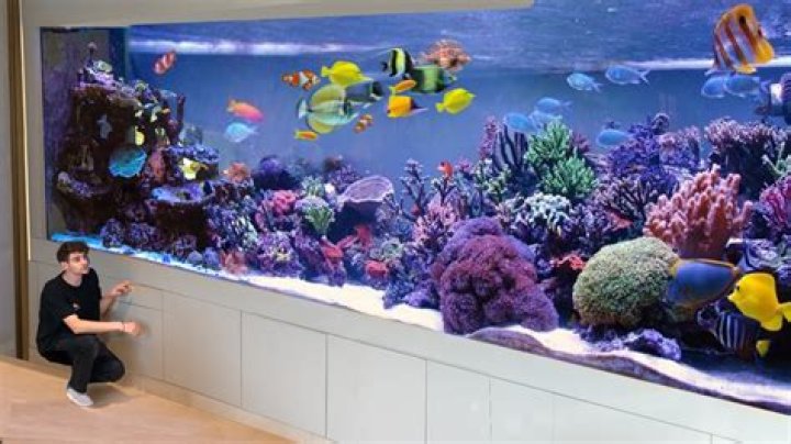 Are saltwater aquariums expensive?