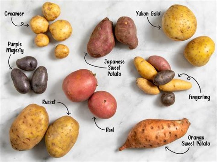 Are there different types of russet potatoes?