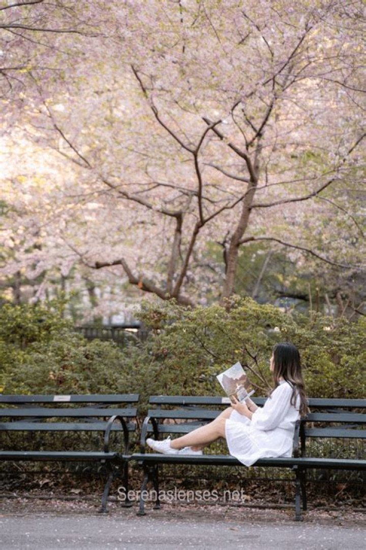 Are Yoshino cherries edible