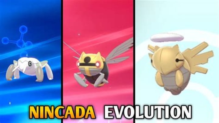 At what level does Nincada evolve?