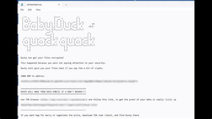 BABYDUCK Ransomware (.BABYDUCK File) — How to remove virus?