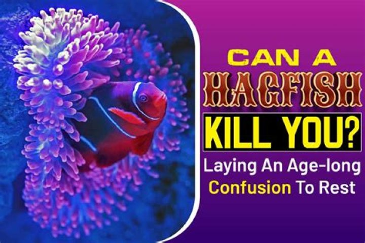 Can a hagfish kill you