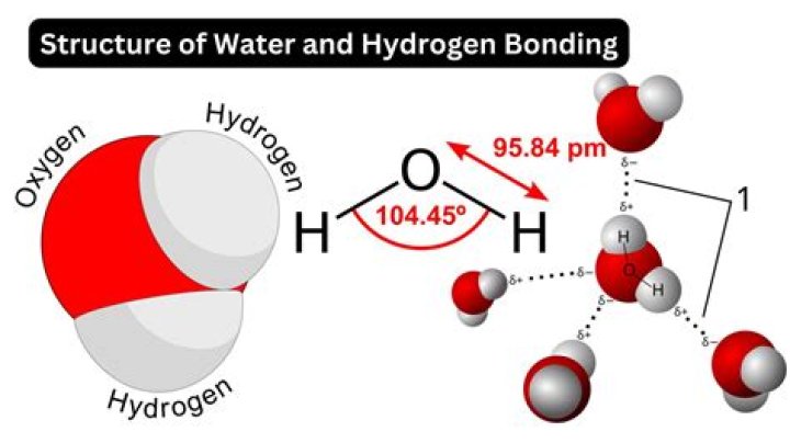 Can a nonpolar molecule have hydrogen bonding?
