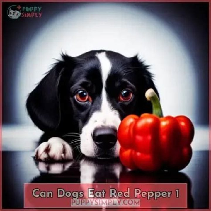 Can dogs eat red pepper?