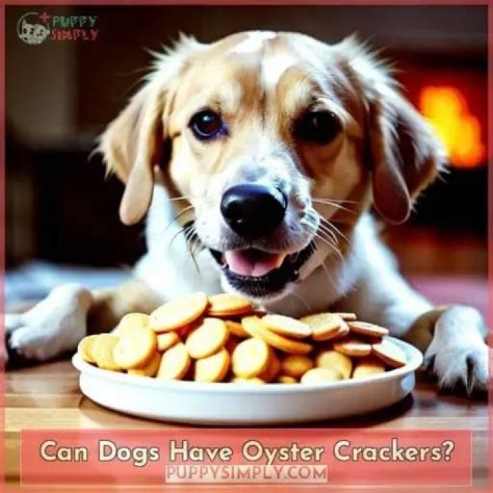 Can dogs have oyster crackers?