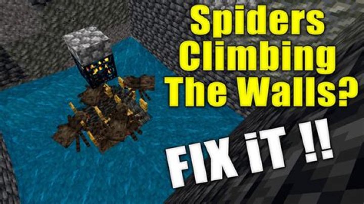 Can Hobo spiders climb walls?