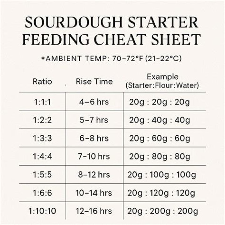 Can I feed my sourdough starter once a day?