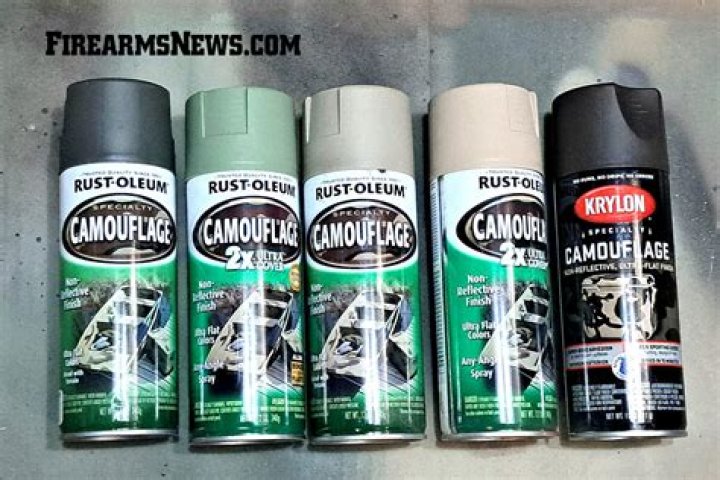 Can I spray paint a bookshelf