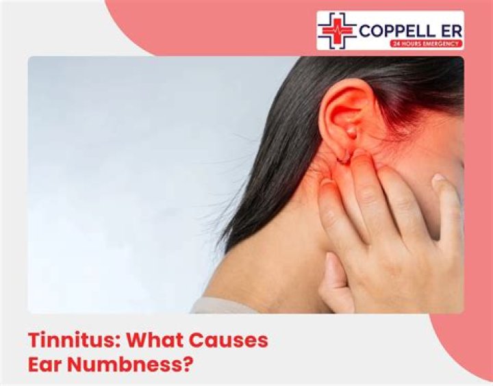 Can tensor tympani cause tinnitus