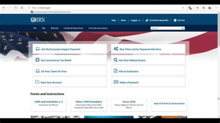 Can Uscis access IRS records?