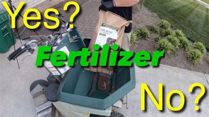 Can you apply lawn fertilizer in the summer?