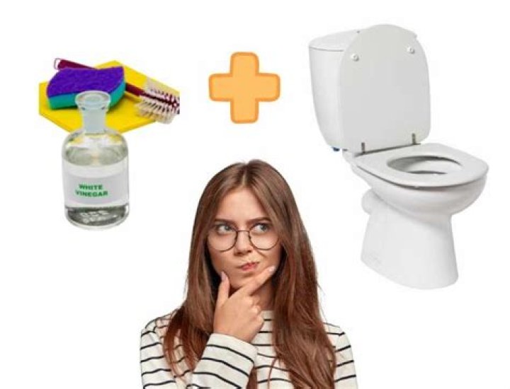 Can you clean toilets with vinegar