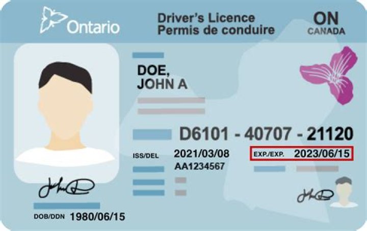 Can you drive with an expired license in Ontario?