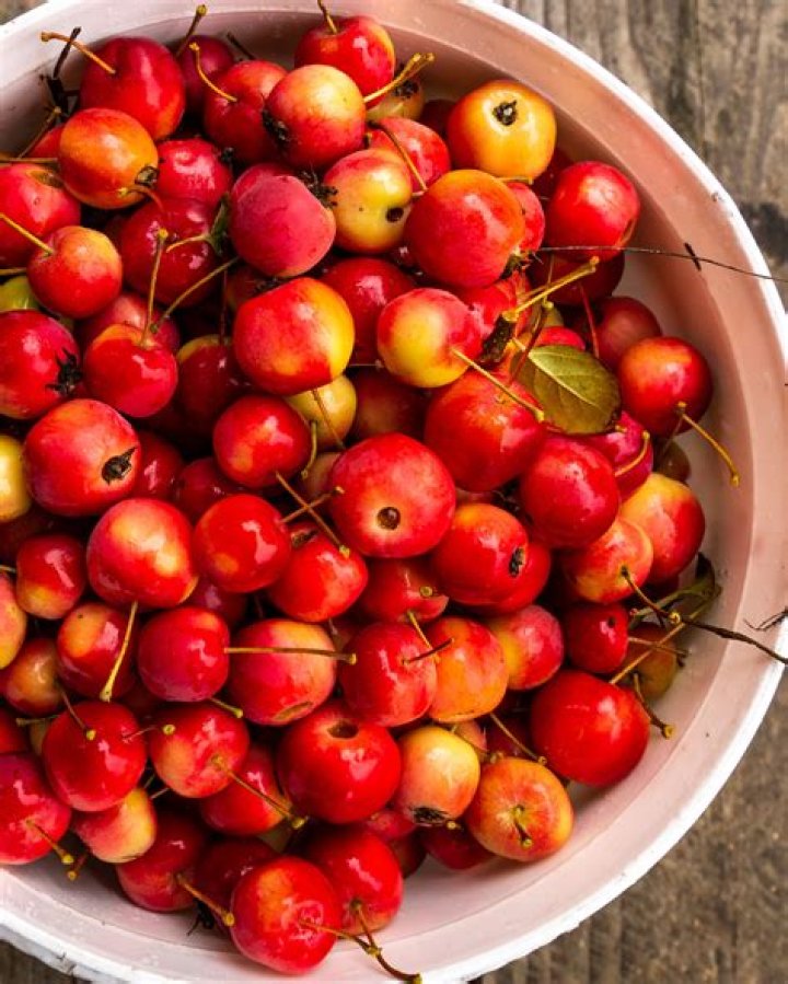 Can you eat tiny crab apples