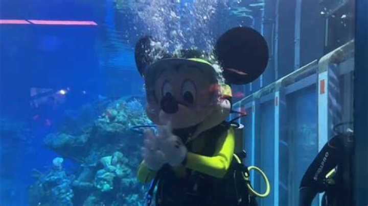 Can you scuba dive at Disney World
