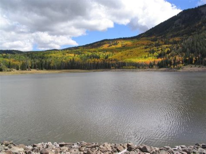 Can you swim in La Perouse?