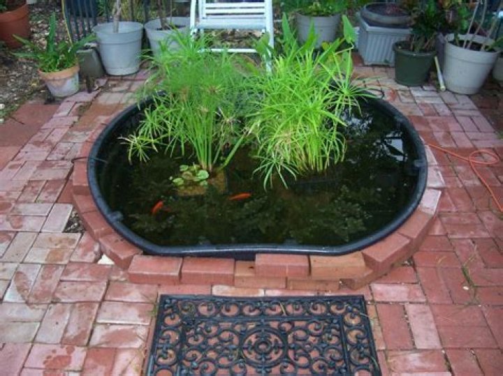 Can you use a kiddie pool for a pond?
