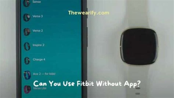Can you use Fitbit without app?