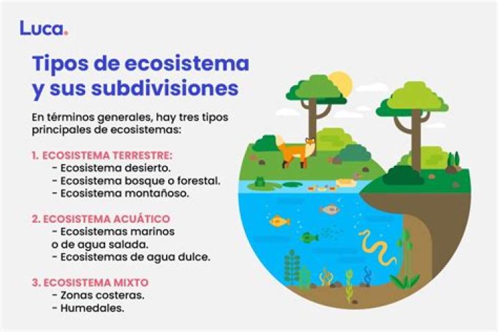¿Cuáles son los elementos de un sistema productivo