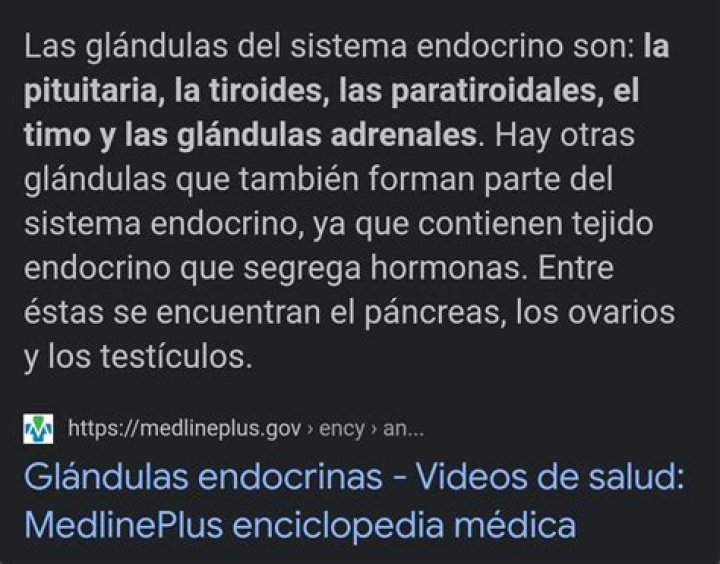 ¿Cuáles son los órganos del sistema endocrino