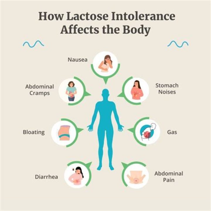 Did people use to be lactose intolerant?