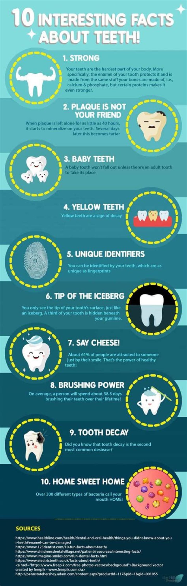Did you know facts about your teeth