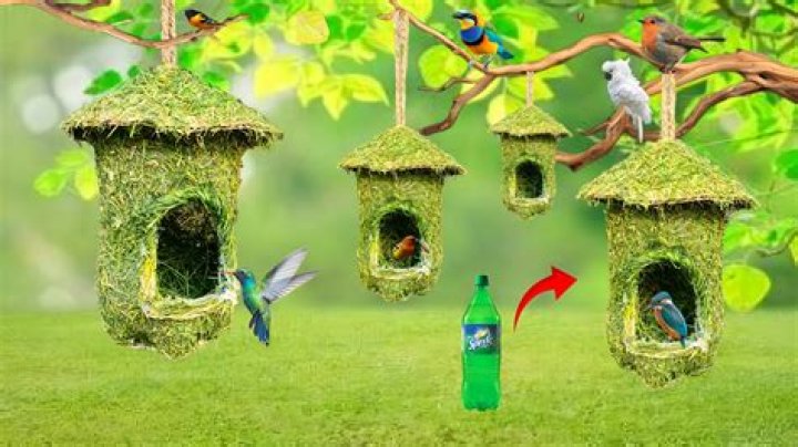 Do birds use gourd birdhouses?