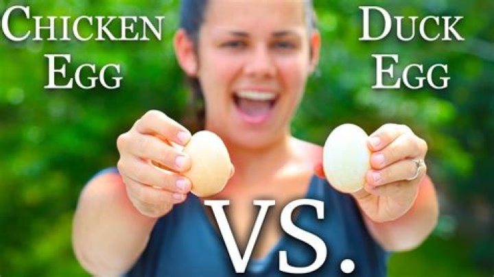 Do duck eggs and chicken eggs taste the same?