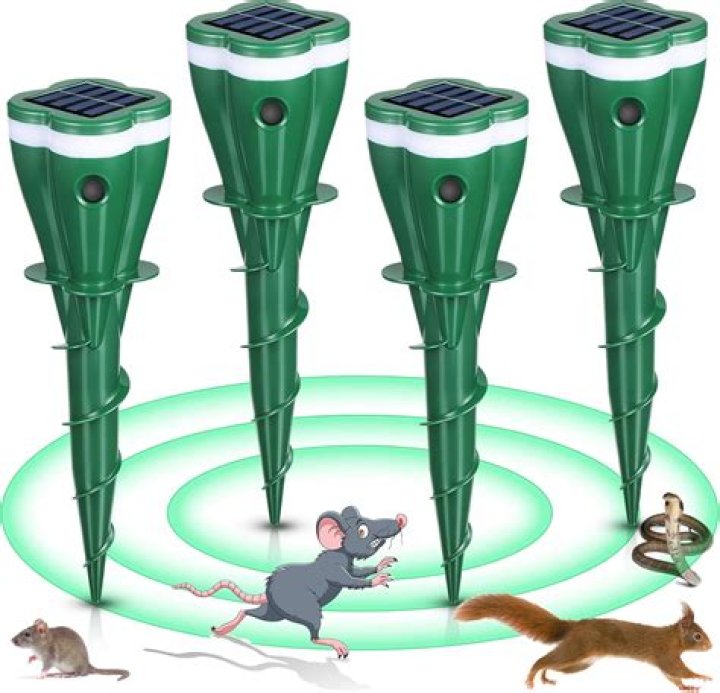 Do electronic mole chasers work?