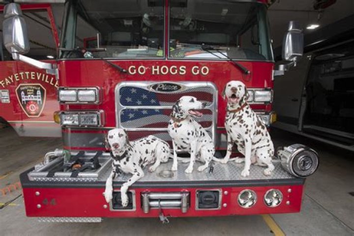 Do fire stations still have a pole UK