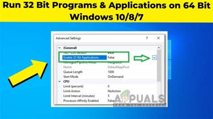 Do I need both 32 and 64 bit Apple Application Support?