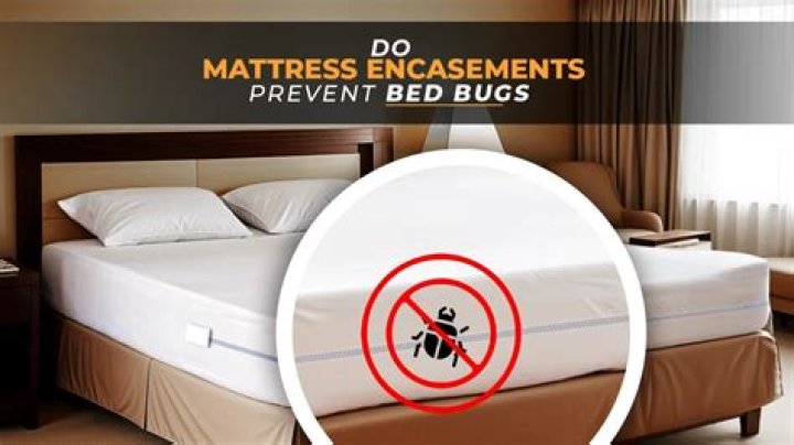 Do mattress encasements work against bed bugs