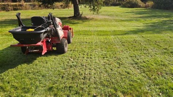 Do you really need to aerate your lawn?