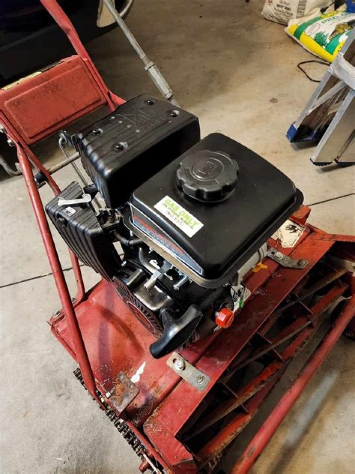 Does a lawn mower take regular gas