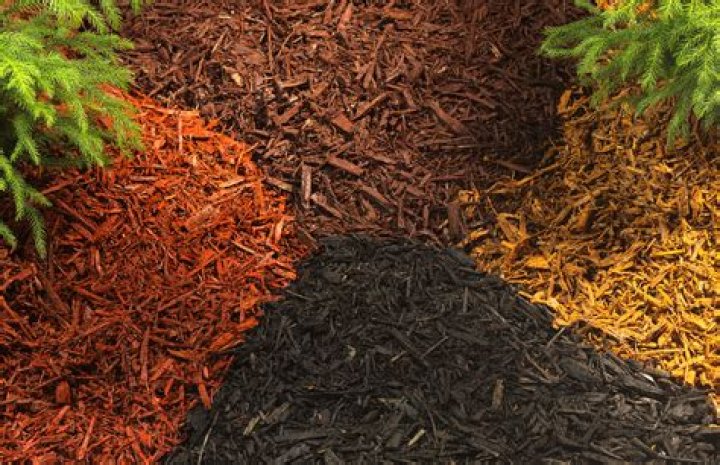 Does Brown mulch have dye in it