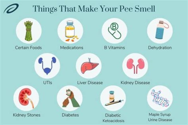 Does BV smell like pee?