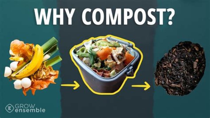 Does compost bin need to be covered