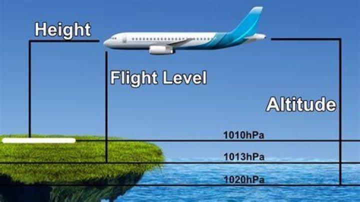 Does flight attendant have height limit?