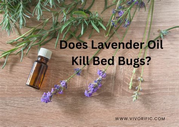 Does lavender oil kill mold