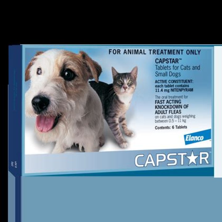 Does Walmart carry Capstar for Cats?