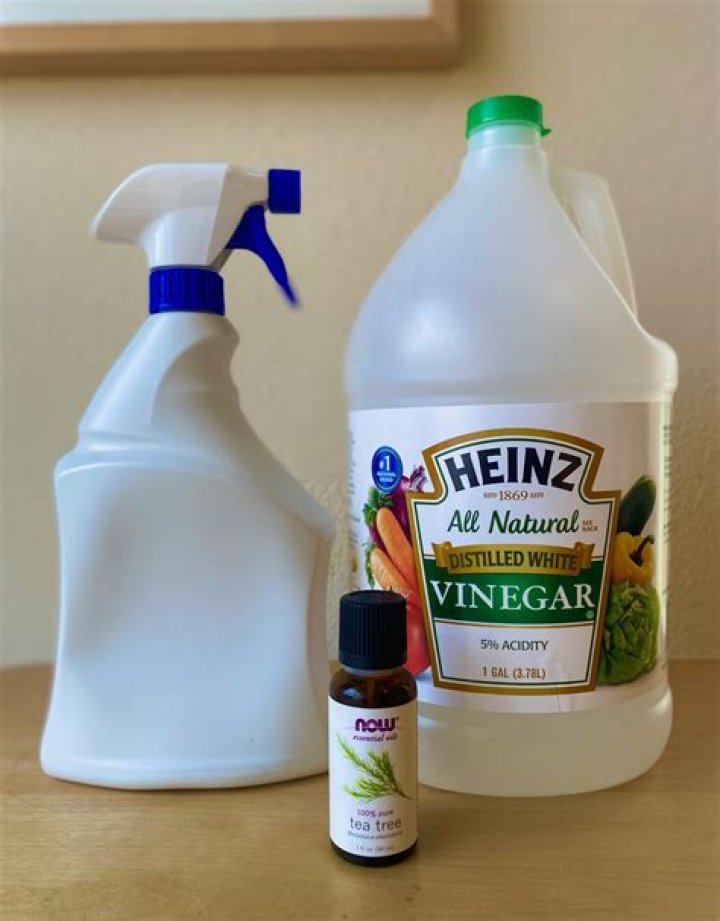 Does white vinegar kill moss?