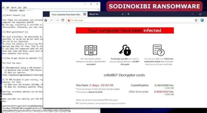 Generic.Ransom.Sodinokibi.9EB8E166