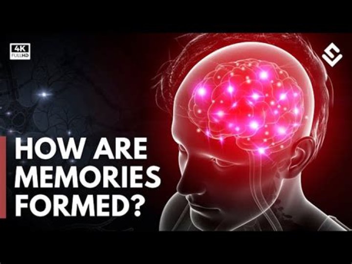 How are memories stored in the brain on a molecular level